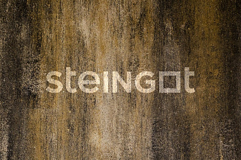 ���������� ������ Steingot �������� "����� ���� Stein Chrome"